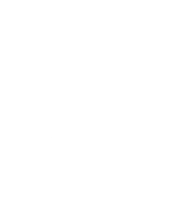 Johnny Cochran Official Store